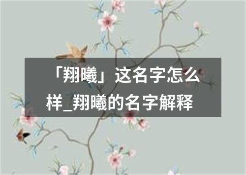 「翔曦」这名字怎么样_翔曦的名字解释