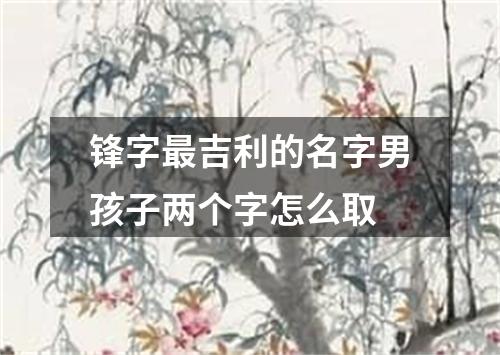 锋字最吉利的名字男孩子两个字怎么取