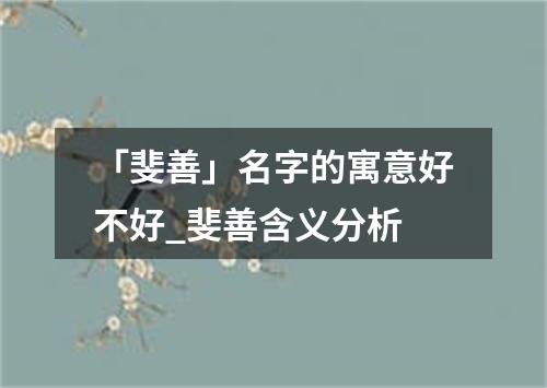 「斐善」名字的寓意好不好_斐善含义分析