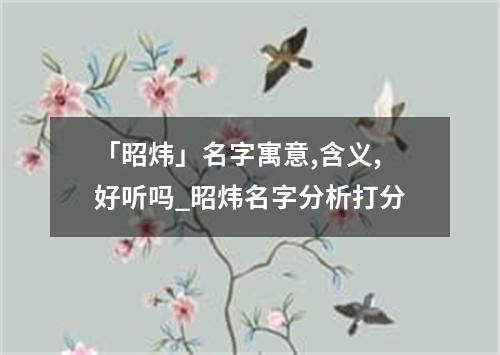 「昭炜」名字寓意,含义,好听吗_昭炜名字分析打分