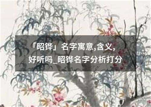 「昭铧」名字寓意,含义,好听吗_昭铧名字分析打分