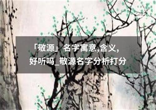 「敬源」名字寓意,含义,好听吗_敬源名字分析打分