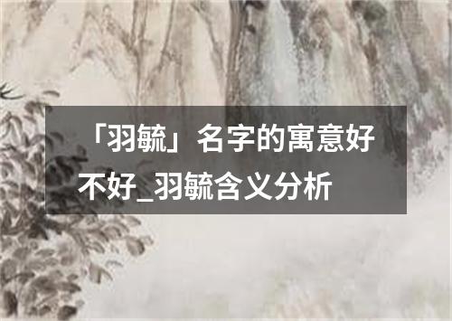 「羽毓」名字的寓意好不好_羽毓含义分析