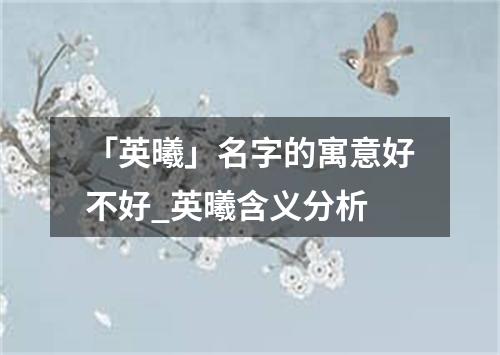 「英曦」名字的寓意好不好_英曦含义分析