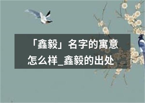 「鑫毅」名字的寓意怎么样_鑫毅的出处