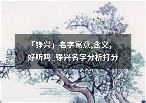 「铮兴」名字寓意,含义,好听吗_铮兴名字分析打分