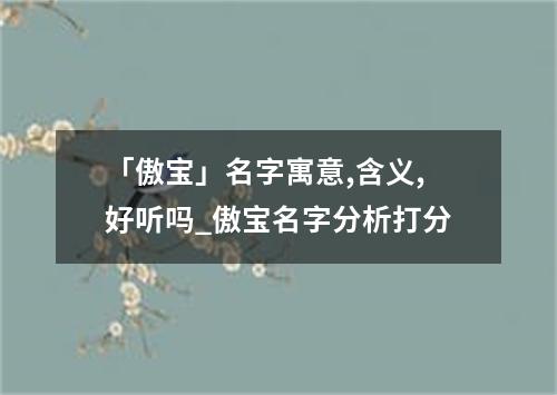 「傲宝」名字寓意,含义,好听吗_傲宝名字分析打分