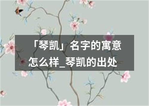 「琴凯」名字的寓意怎么样_琴凯的出处