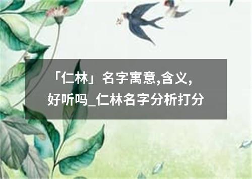 「仁林」名字寓意,含义,好听吗_仁林名字分析打分