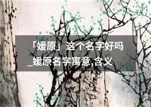 「媛原」这个名字好吗_媛原名字寓意,含义