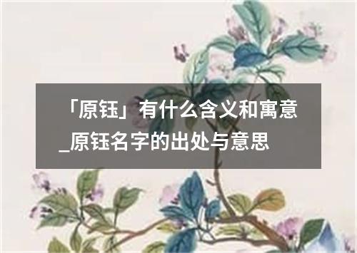 「原钰」有什么含义和寓意_原钰名字的出处与意思