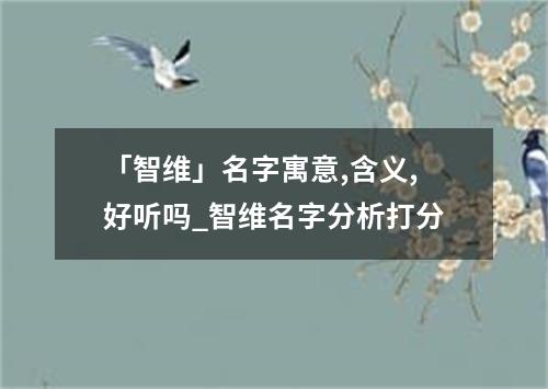 「智维」名字寓意,含义,好听吗_智维名字分析打分