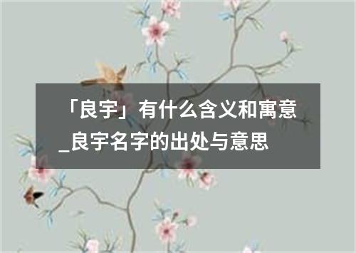 「良宇」有什么含义和寓意_良宇名字的出处与意思