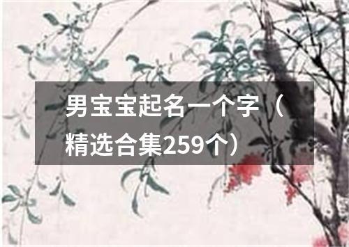 男宝宝起名一个字（精选合集259个）