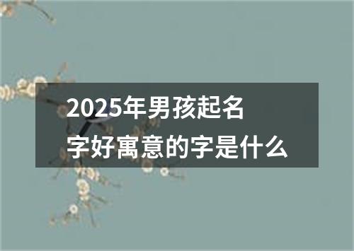 2025年男孩起名字好寓意的字是什么