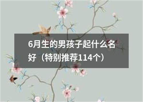 6月生的男孩子起什么名好（特别推荐114个）