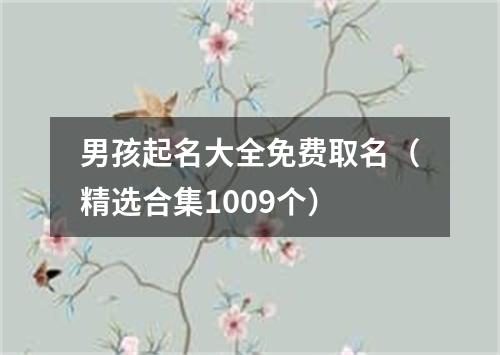 男孩起名大全免费取名（精选合集1009个）