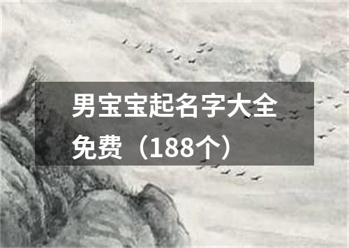 男宝宝起名字大全免费（188个）