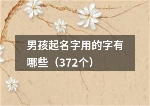 男孩起名字用的字有哪些（372个）