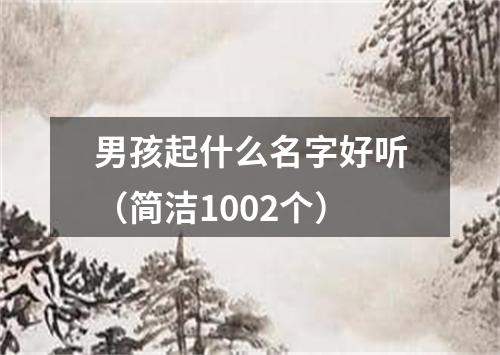 男孩起什么名字好听（简洁1002个）