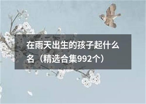 在雨天出生的孩子起什么名（精选合集992个）