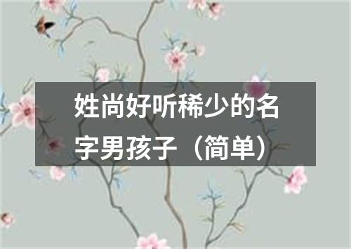 姓尚好听稀少的名字男孩子（简单）