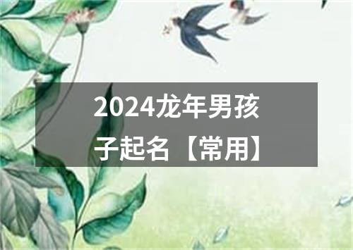 2024龙年男孩子起名【常用】