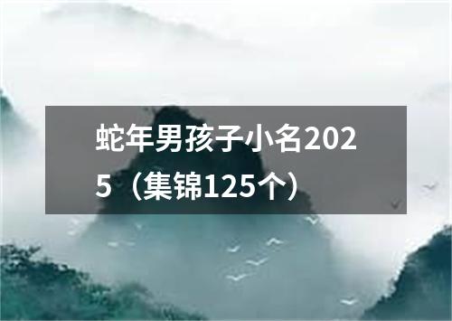 蛇年男孩子小名2025（集锦125个）