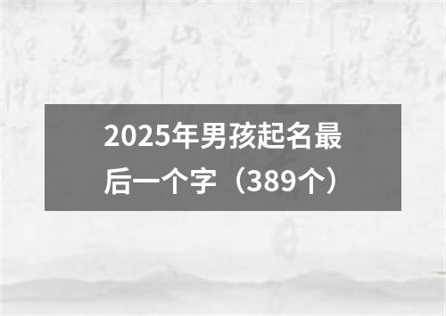 2025年男孩起名最后一个字（389个）