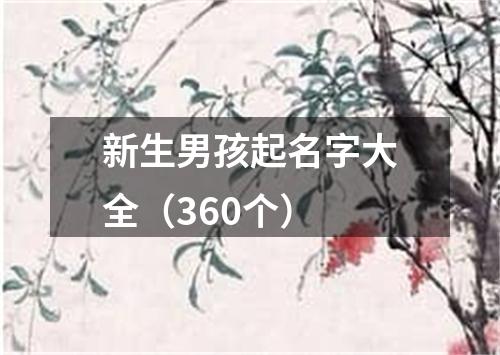 新生男孩起名字大全（360个）