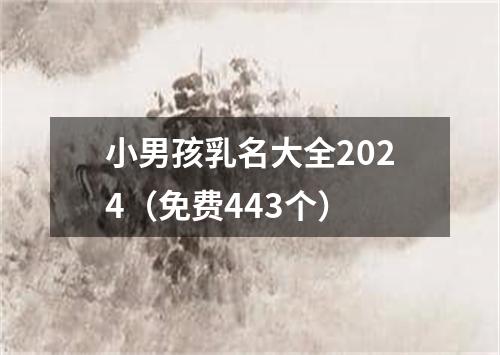 小男孩乳名大全2024（免费443个）