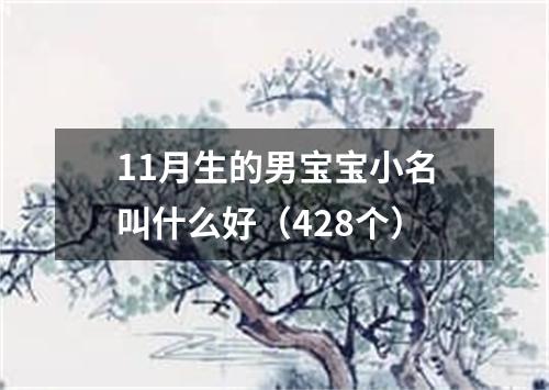 11月生的男宝宝小名叫什么好（428个）