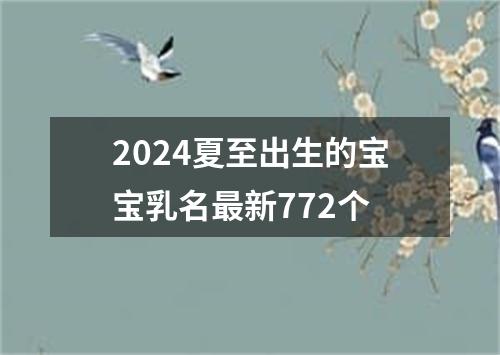 2024夏至出生的宝宝乳名最新772个