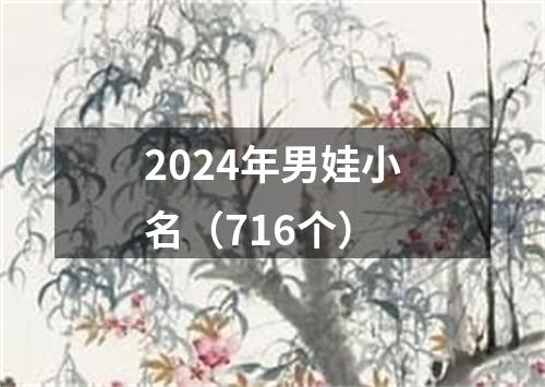 2024年男娃小名（716个）