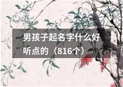 男孩子起名字什么好听点的（816个）