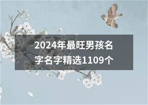 2024年最旺男孩名字名字精选1109个