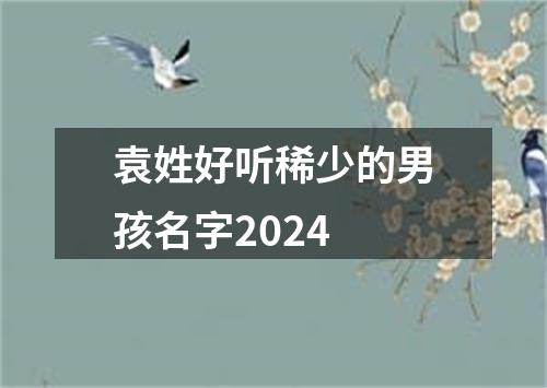 袁姓好听稀少的男孩名字2024