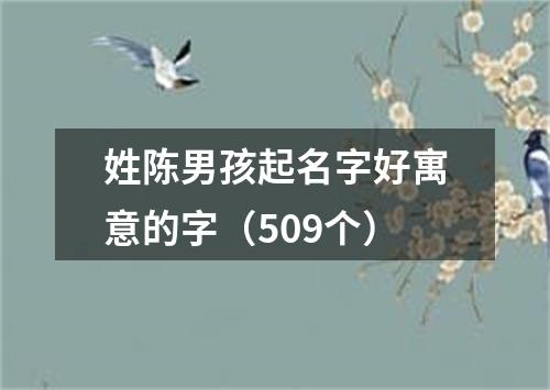 姓陈男孩起名字好寓意的字（509个）