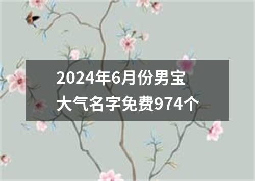 2024年6月份男宝大气名字免费974个