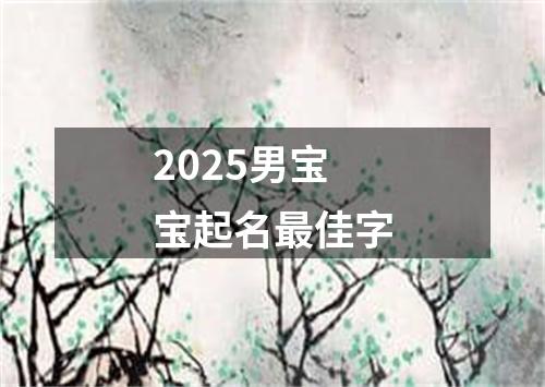 2025男宝宝起名最佳字