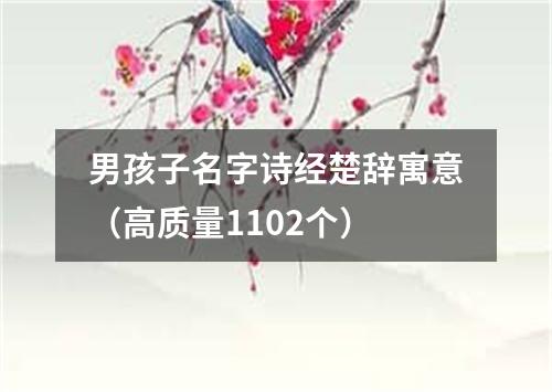 男孩子名字诗经楚辞寓意（高质量1102个）