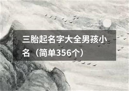 三胎起名字大全男孩小名（简单356个）