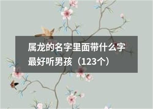 属龙的名字里面带什么字最好听男孩（123个）