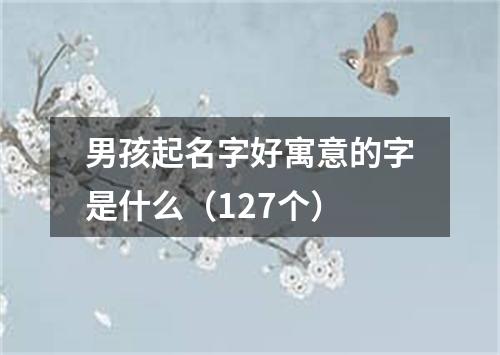 男孩起名字好寓意的字是什么（127个）