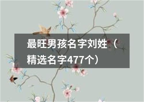 最旺男孩名字刘姓（精选名字477个）