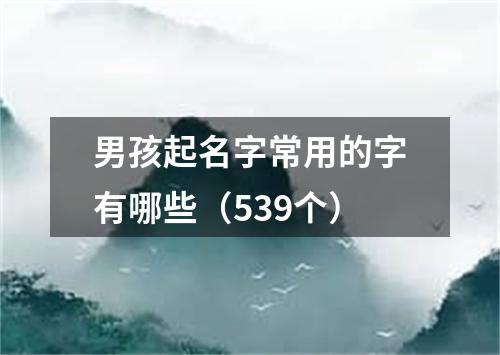 男孩起名字常用的字有哪些（539个）