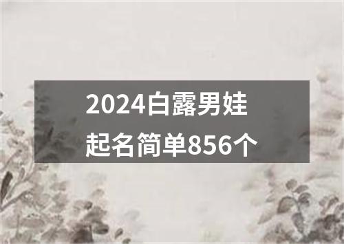 2024白露男娃起名简单856个