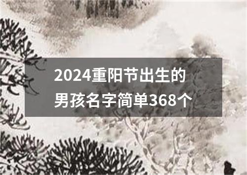 2024重阳节出生的男孩名字简单368个