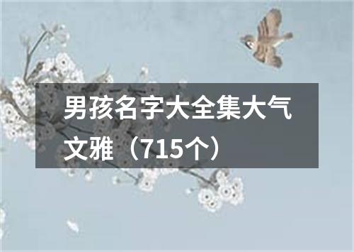 男孩名字大全集大气文雅（715个）