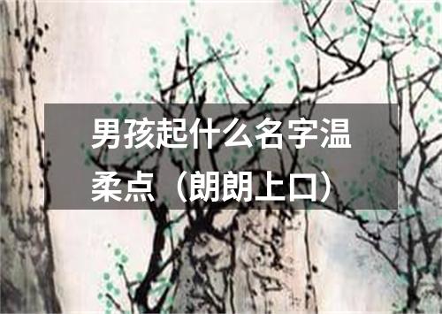 男孩起什么名字温柔点（朗朗上口）